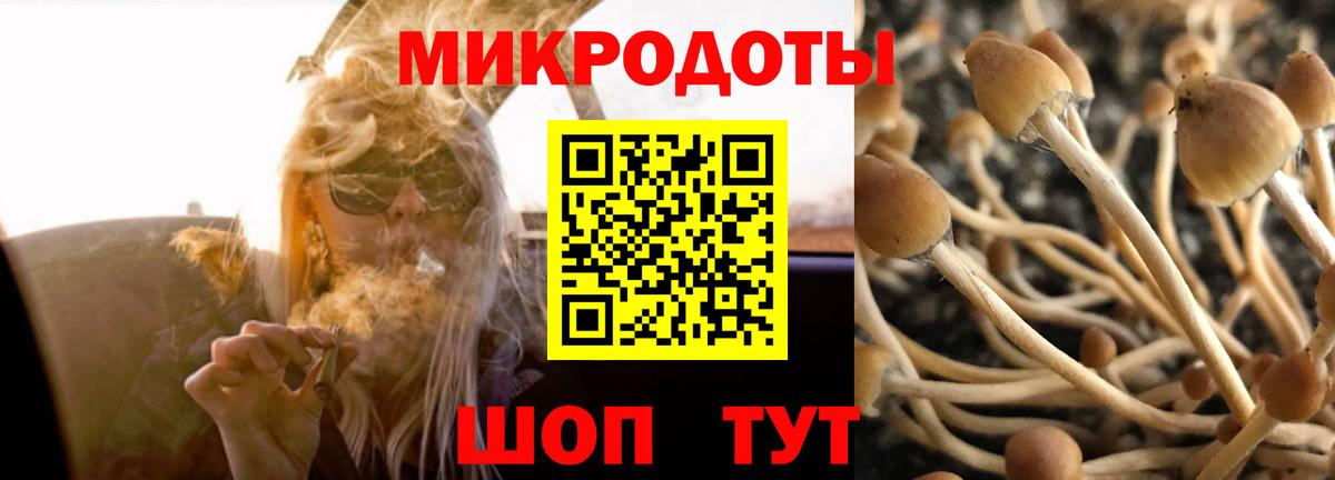 Галлюциногенные грибы MAGIC MUSHROOMS Малоярославец